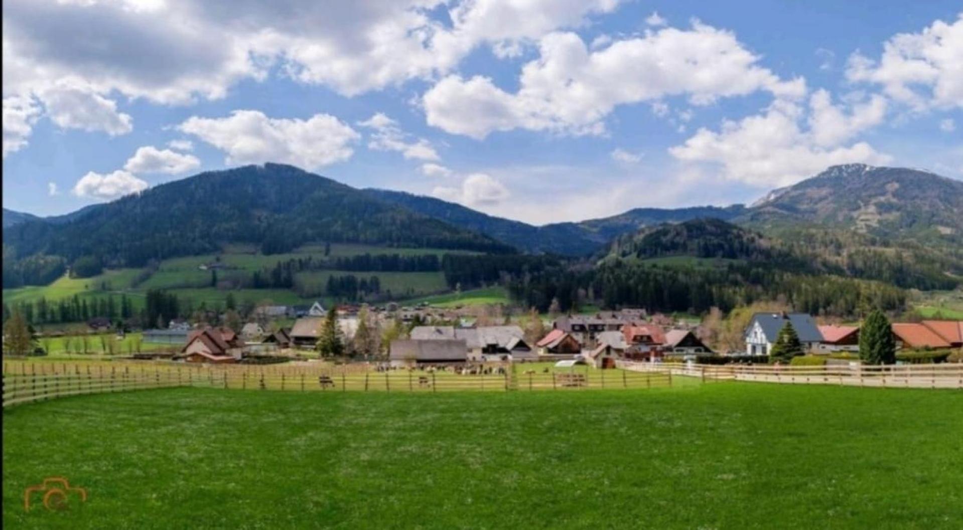 Alpakas, Lamas Und Rentiere Zum Gruenen See Grossdorf  Exterior foto