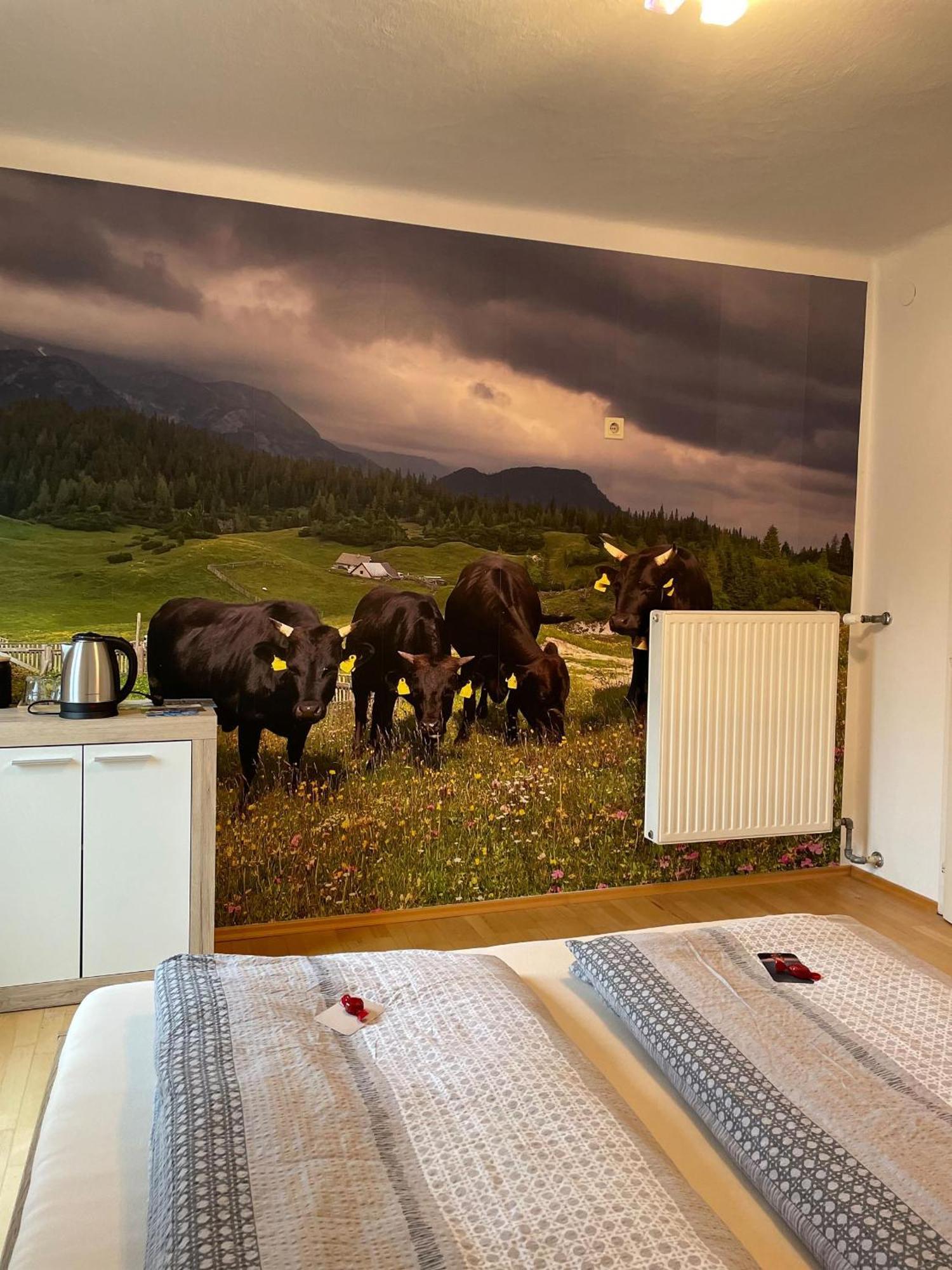 Alpakas, Lamas Und Rentiere Zum Gruenen See Grossdorf  Exterior foto